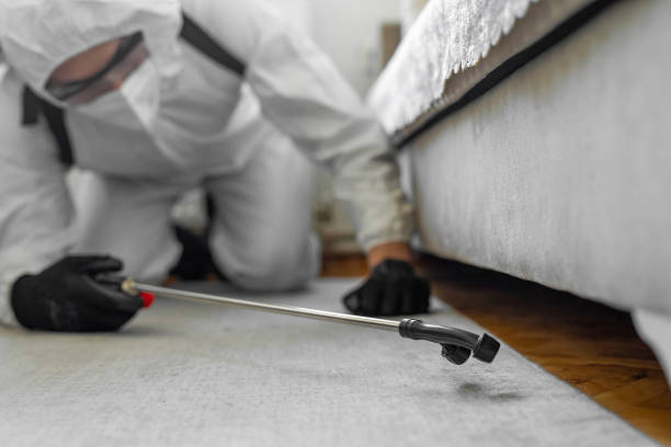 Professional Termite Control technician working in Nicollet, MN