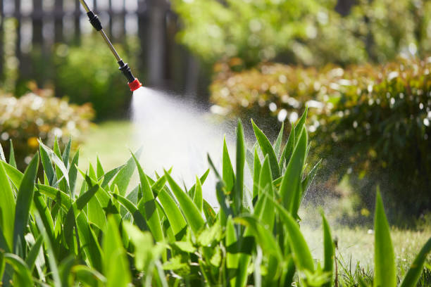 24/7 Emergency Termite Control experts in Nicollet, MN
